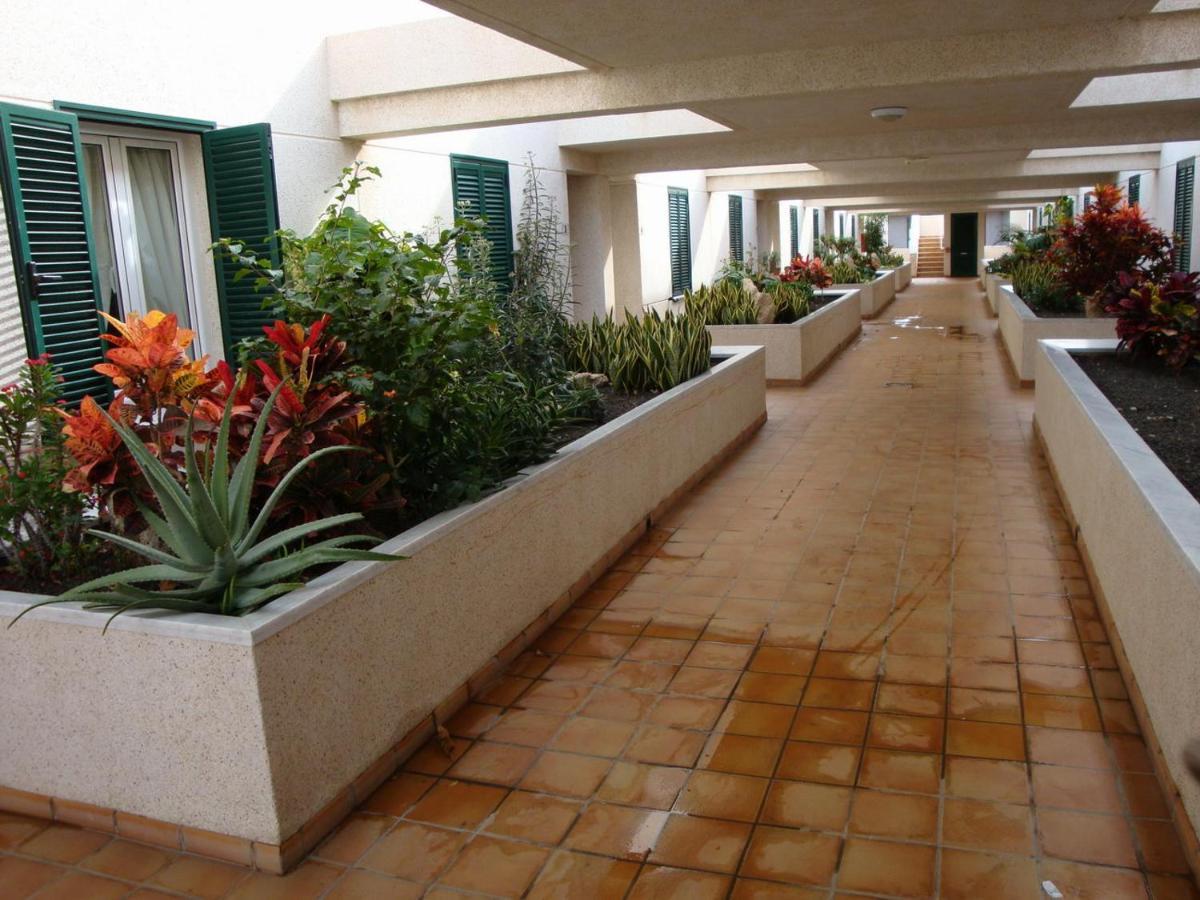 Apartamento Con Jardin Y Piscina En El Balancon Apartment El Medano  Bagian luar foto